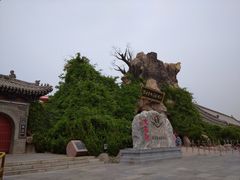 -大槐树寻根祭祖园