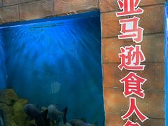 -白鹿仓冰雪海洋世界
