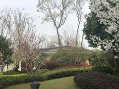 -苏州湾王焰温泉度假酒店