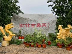 -御林古桑园