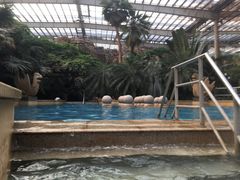 -龙达温泉生态城