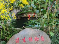 -中国科学院西双版纳热带植物园