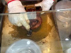 -吴家东少手撕烤鸭(绳金塔店)