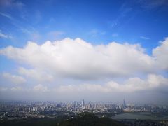 -紫金山山顶公园