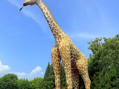 -西霞口神雕山野生动物世界