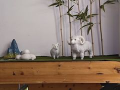 -鸥迪足道(湖南示范店)