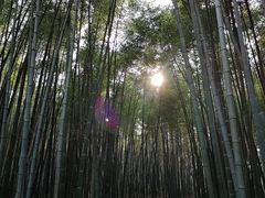 -石塘人家