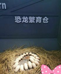 -恐龙探索乐园(磁器口店)
