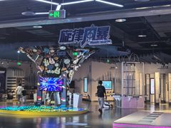 -中国宋庆龄青少年科技文化交流中心