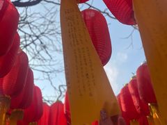 -护国法轮寺