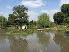 -鹅湖玫瑰文化园