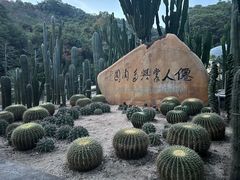 -深圳仙湖植物园