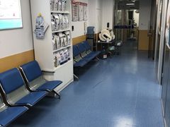 -美联众合动物医院(·中兽医·疑难杂症·严家桥分院)