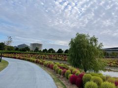 -春花秋色城市公园