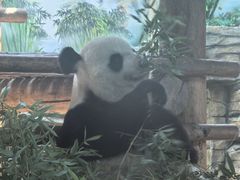 -西霞口神雕山野生动物世界