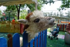 -萌宠亲子动物乐园(槐房万达店)