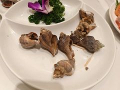 -国惠大酒楼(宝龙店)