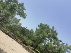 -东郊湿地公园