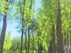 -稻香湖景欢乐岛温泉城堡
