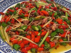 -新蜀会四川豆花(五羊店)