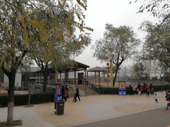 -石家庄市动物园