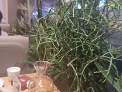 -隅乐胡椒虾·台湾菜·团建(皇岗店)