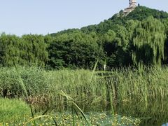 -北坞公园