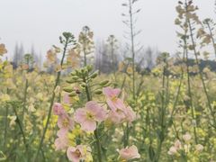 -蜀绣公园