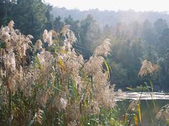-南京市无想山景区