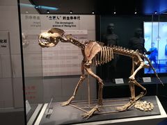 -北京周口店北京人遗址博物馆