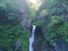 -老秃顶草原景区
