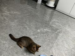 -龍歌自助小火锅(芝罘万达店)