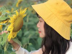 -映月湖中央公园