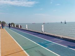-贡湖湾湿地公园