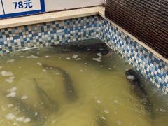 -锅老头海鲜铁锅炖