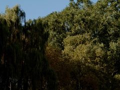 -长白岛森林公园