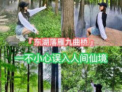 -东湖落雁景区