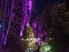 -北山公园