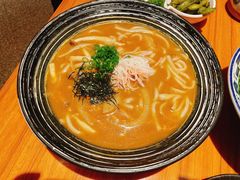 厚乳咖喱汤鲜蟹棒乌冬（微辣）-摩打食堂(佳兆业店)