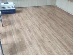 -乐派堂宠物医院·猫友好· 心脏科(东街店)