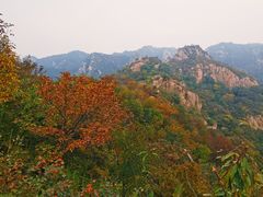 -大岭沟猕猴桃谷风景区