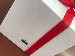 -BLACKSWAN黑天鹅(环球店)
