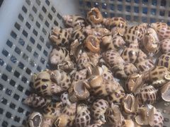 -小时候焗海鲜(鄞州万达店)