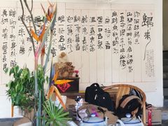 -厦门园林植物园-植物园滴水山房