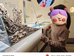 -美国自然历史博物馆