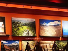 -花马天堂云南餐厅 Lost Heaven(外滩店)