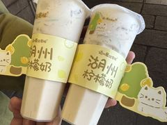 -猫的魔法密林(衣裳街店)