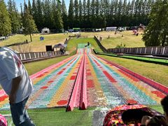 -黄海国家森林公园