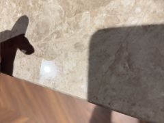 -古南都·老广东酒楼(龙江店)