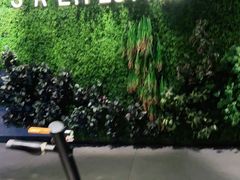 -威尔仕健身·游泳(KING88店)